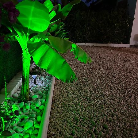 Acogedor Apartamento En La Playa Vera Exteriör bild